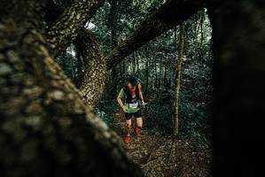 BIB: 
                            <button type="button" onclick="openModal(25666802)" class="btn btn-primary btn-sm float-right btn-popup" data-toggle="modal" data-target=".modal-high-quality">
                        <i class="fas fa-shopping-cart"></i> Add to Cart
                    </button>
                                            <button type="button" onclick="isThisMe(25666802, true)" class="btn btn-success btn-sm float-right btn-popup btn-isme hidden" data-toggle="tooltip" data-placement="bottom" title="นี่คือรูปของคุณใช่ไหม คลิกที่นี่เพื่อเอาเข้าอัลบั้ม">
                        <i class="fas fa-plus"></i> Add to album
                    </button>
                    <button type="button" onclick="isThisMe(25666802, false)" class="btn btn-warning btn-sm float-right btn-popup btn-isnotme hidden">
                        <i class="fas fa-ban"></i> Remove from album
                    </button>